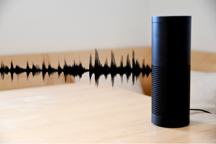 Exploring Voice Search in 2019